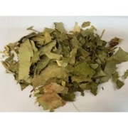 Rdestowiec Japoński Ziele 100 G