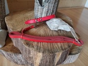 smycz skórzana z obrożą