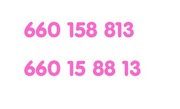 Złote numery: 660 158 813, 660158813