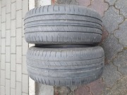 Goodyear Performance Grip 2 (2019) 215/55/R16