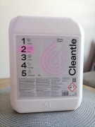 Cleantle Citrus Foam 2 