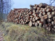 Drewno opałowe Liściaste/Iglaste w dobrej cenie 