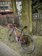 Trek Alpha 1.2 – lekka szosa 