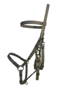 Kantoro ogłowie z wodzami