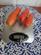 Pomidor Aurija kolekcjonerski