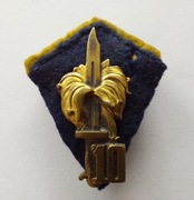 10 Baon - 4 WBP - OZNAKA SPECJALNA - 4 WOŁYŃSKA BRYGADA PIECHOTY - PSZnZ 