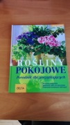Praktyczny poradnik - rośliny pokojowe