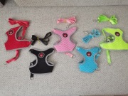  Komplet kolorowych szelek ze smyczą da psów, kotó