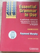 Essential grammar in use