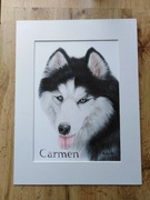 Portret TWOJEGO PSA  HUSKY kota ręcznie  ZE ZDJĘCIA   A4