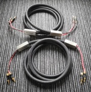 Nemesis Audio Project Speaker Silver Special V2