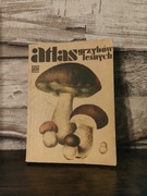 Atlas grzybów leśnych - Henryk Orłoś