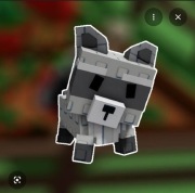 Raccon grow a garden