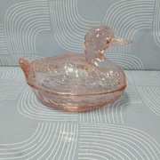 Kaczka rozalinowa Ząbkowice