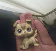 Figurka littlest pet shop collie fake