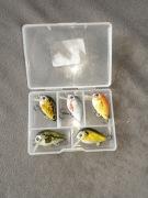 Woblery kleniowo jaziowe w pudełku 