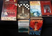ZESTAW 6 KSIĄŻEK,  KRYMINAŁ, FANTASY, HORROR. 