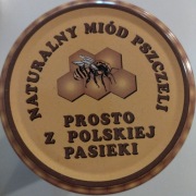 Miód hurt nawłociowy 