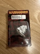 High Elf Hero with axe and shield blister