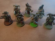 Plague marines death guard 