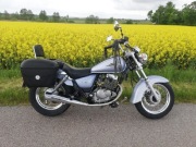 Motocykl Suzuki Marauder motocykle 