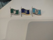 Odznaka, oznaka honorowa wojskowa, wzorowy pododdział WL, MW, SP. Nowe. 