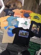 Coccodrillo zestaw t-shirtów dla chłopca rozm 116