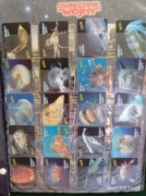 Karty STAR FOODS Podwodny świat Żetony z chipsów mr snaki