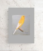 vintage plakat z ptaszkiem, retro obrazek z kanarkiem, kanarek plakat A4