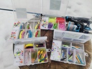 Boxy okoniowe, pstrągowe, kleniowe,buałoryb