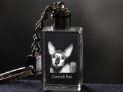 Cornish Rex  brelok sześcienny Świecący