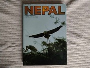 NEPAL Parma, Stachurski