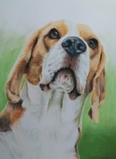  Portret na zamówienie ze zdjęcia