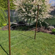 Pergola W z linami stalowymi 120x100