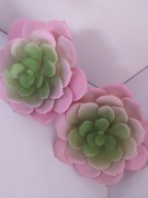 Sukulenty dekoracyjne