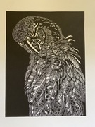 Linoryt - ARA - praca autorska