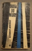 Droga do Niury Aleksander Minkowski