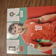FIFA WORLD CUP AMERICA 2026 PANINI Morocco 307 Diaz