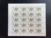 Ark 4083 ** Chronione i zagrożone gatunki flory polskiej 2006r.