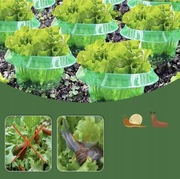 Kołnierz Ślimakowy Płot ochronny Na Rośliny przed ślimakami 12 Sztuk