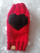 Piękne ubranko dla psa york, maltańczyk, bischon