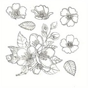 Stemple pieczątki silikonowe kwiaty .