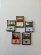 Land Landy Swamp Forest Plains Island Mountain Mtg The Magic:Gathering