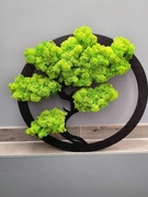 Drzewo Bonsai - dekoracja, prezent chrobotek 40cm