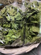 Liść morwy białej , całe liście morwy