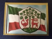 Braniewo herb i flaga