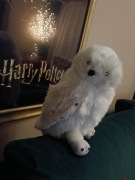 Maskotka Hedwiga Harry Potter 