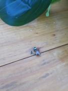 Kolczyki sztyfty serduszka