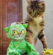 Zielony kot z żółtymi oczami 