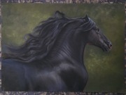 Portret konia. Pastele 50x70 cm